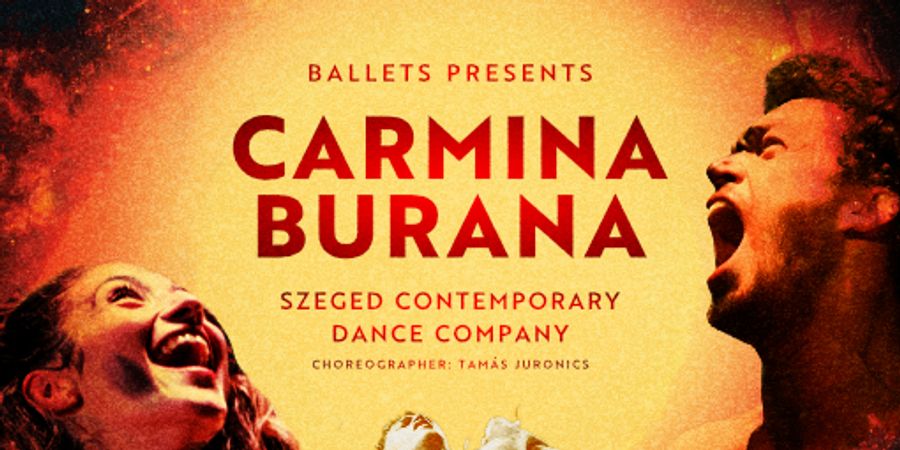 image - CARMINA BURANA - SCDC