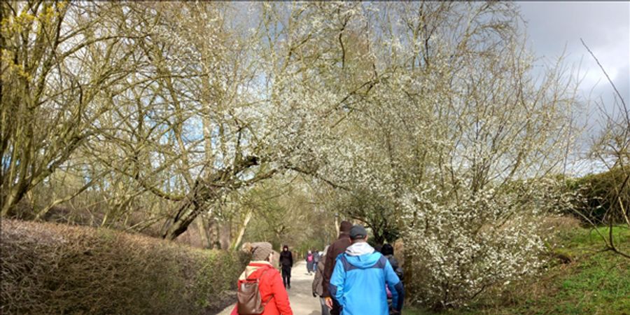 image - Warm Wandelen, ça marche: van tramhalte Frans Hals via Neerpede tot GC De Rinck