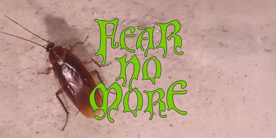 image - FEAR NO MORE