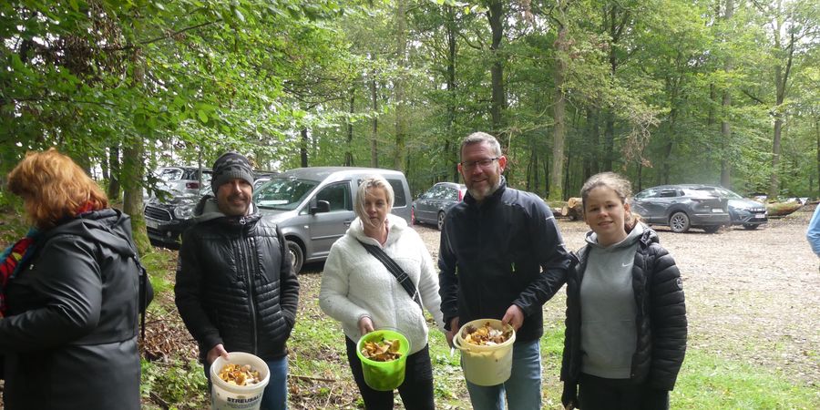 image - Balade Champignon