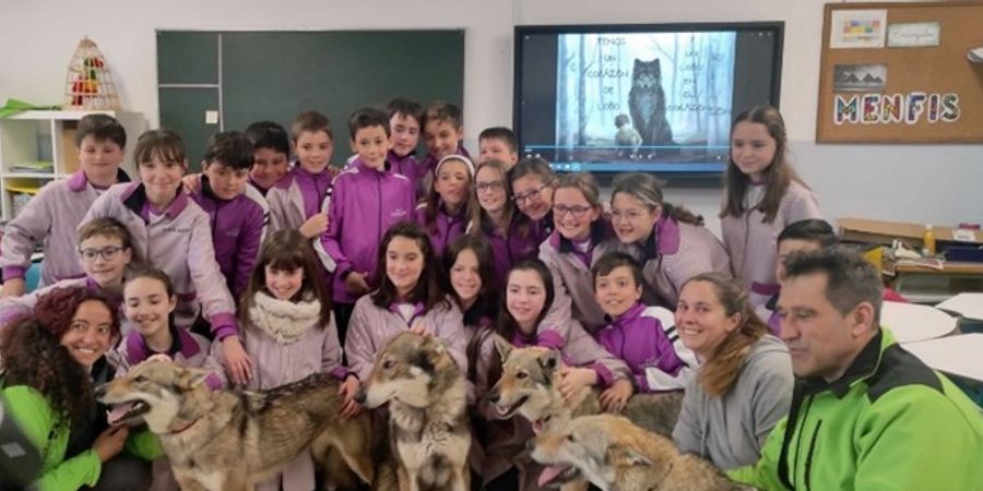 image - Réapprendre à vivre avec le loup