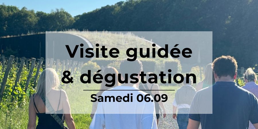 image - Visite Guidée du Vignoble du Château de Bousval