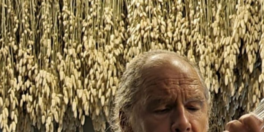 image - Xavier Descamps : recital klassieke gitaar