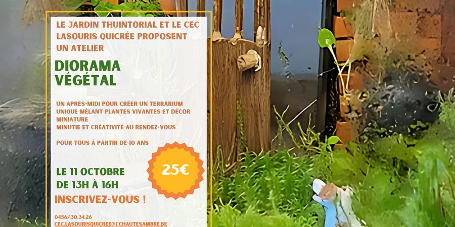 image - Atelier : Diorama végétal