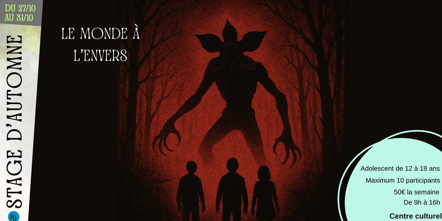 image - Stage ados 
