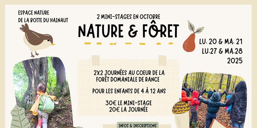 image - Mini-stages d'automne : Nature & Forêt