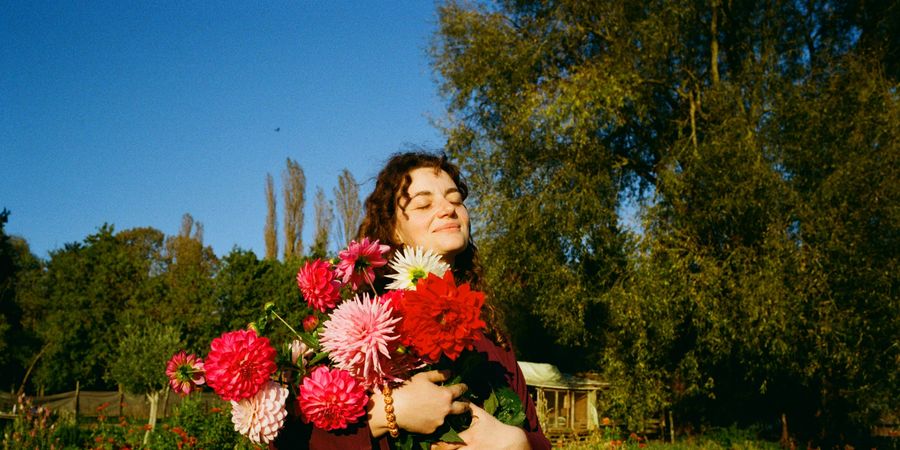 image - Récoltez vos graines de fleurs