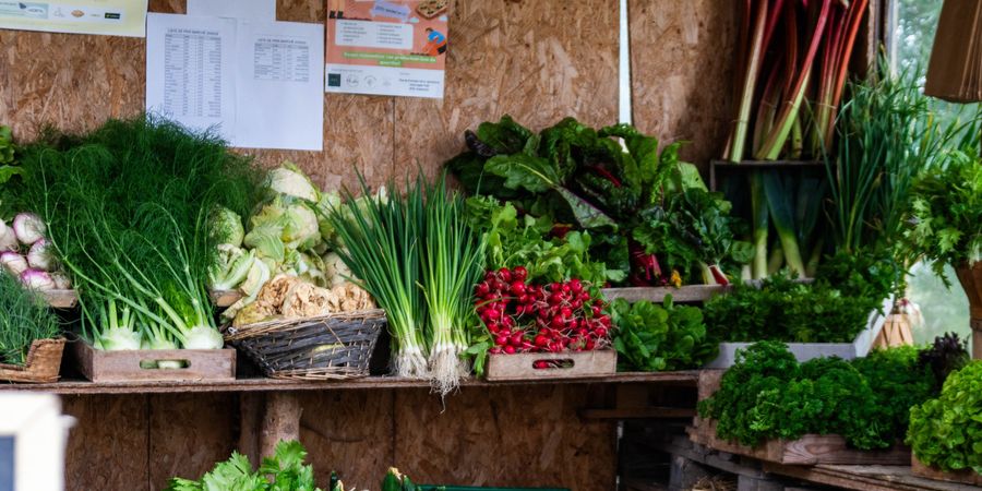 image - Marché de producteurs (légumes et fleurs)