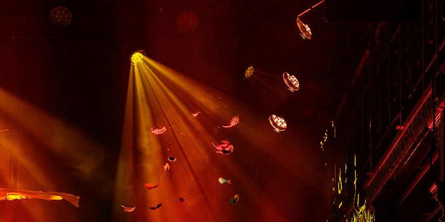 image - Festival KidZik - Le voyage de l'Araponga