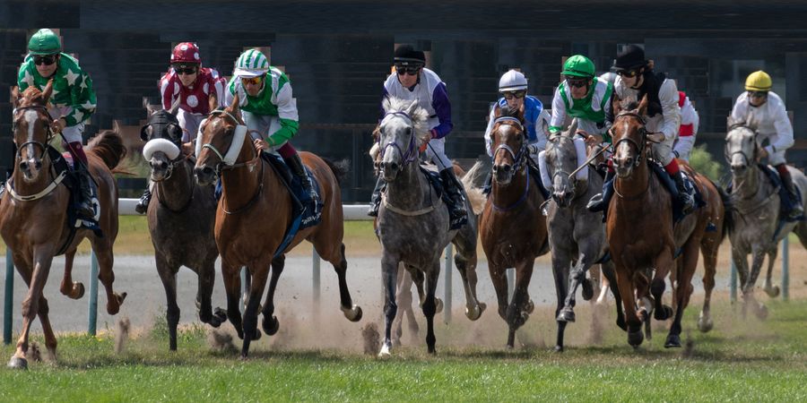 image - PRESIDENT of the U.A.E. CUP à l'Hippodrome, Holstraat, WAREGEM, 2 sept. 2025 