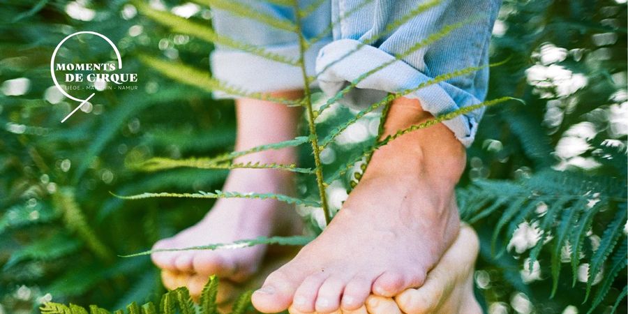 image - Les petits Moments de Cirque
