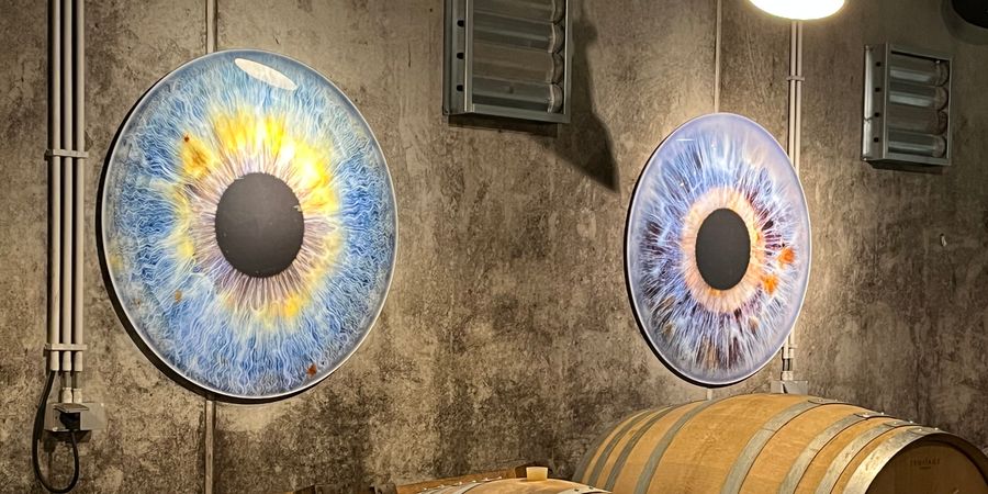 image - Visite guidée & déjeuner au vignoble du Château de Bousval