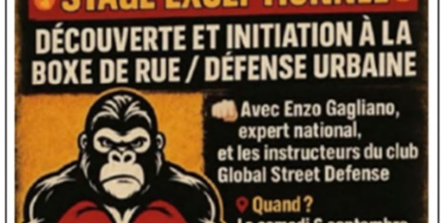 image - Initiation à la Défense Urbaine et à La Boxe de Rue 