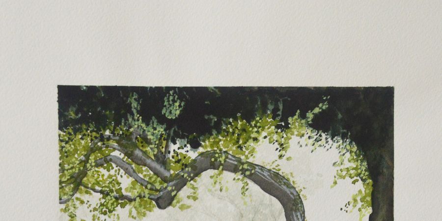 image - Atelier d'aquarelle