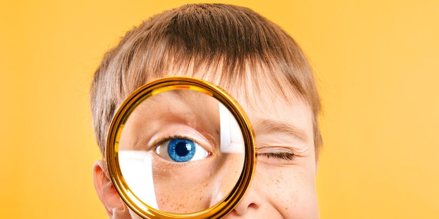 image - Sous la loupe  : l’expo qui s’observe