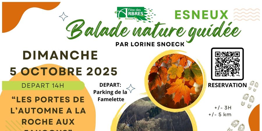 image - Balade Nature Guidée, Les portes de l'automne à la Roche aux Faucons