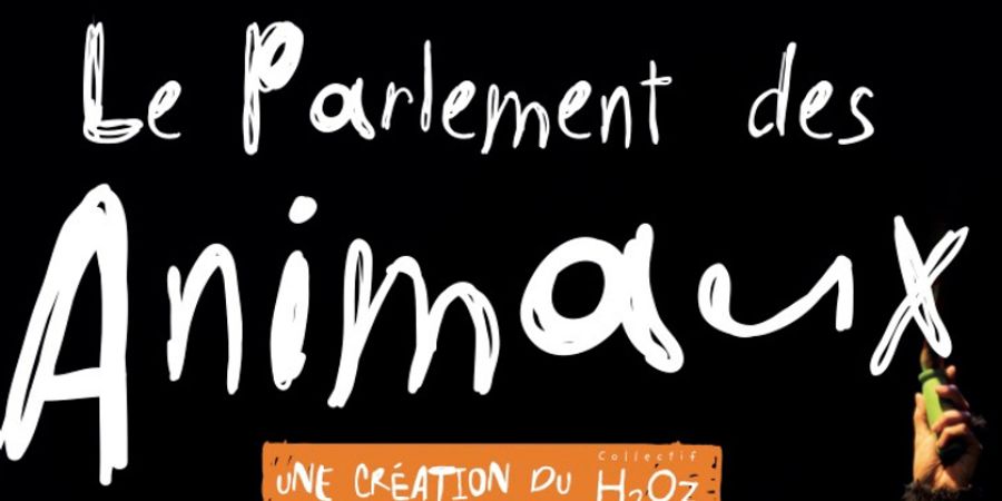image - Dimanche Kids : Spectacle 