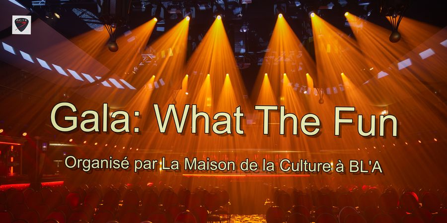 image - What The Fun - Gala de Noël