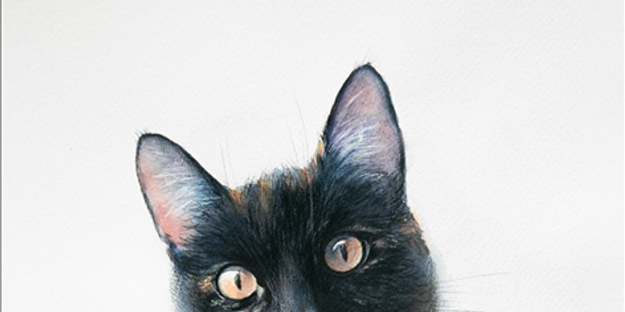 image - Meet & greet the artist: Anastasia Shibanova