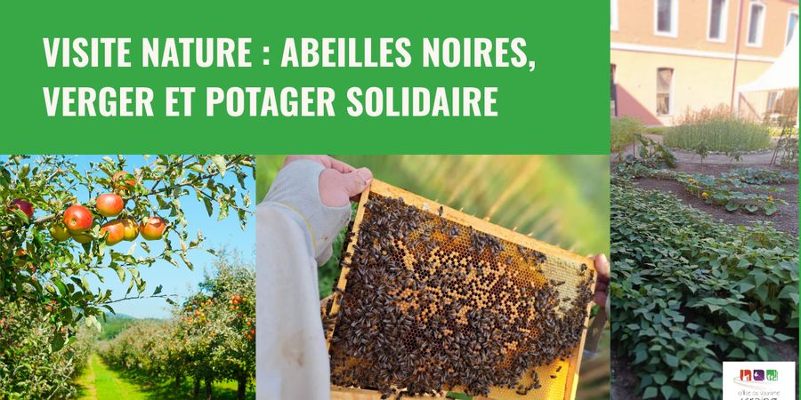 image - Visite nature : abeilles noires, verger et potager solidaire