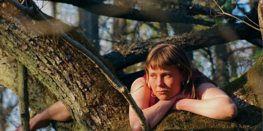 image - Once Upon a Time in a Forest • Virpi Suutari