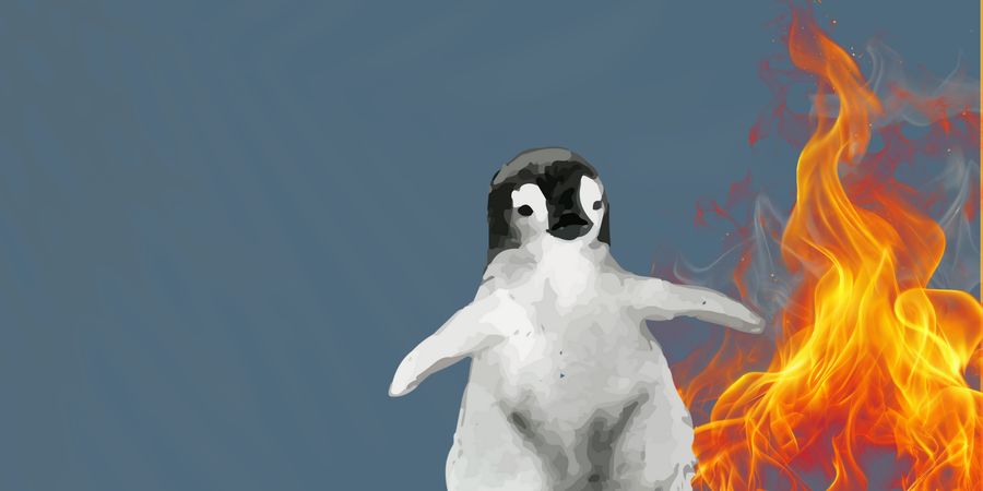 image - Une vie de pingouin