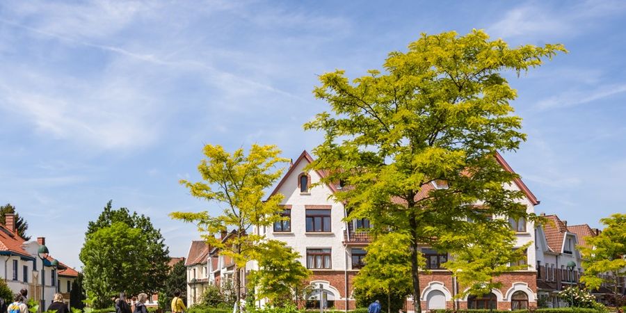 image - Les années 20-30 à Schaerbeek : dites-les avec des fleurs …