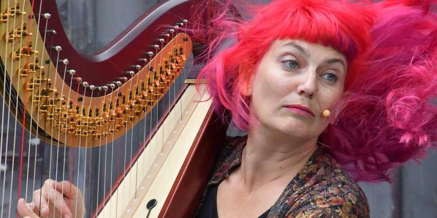 image - Autobiographie d'une harpiste punk