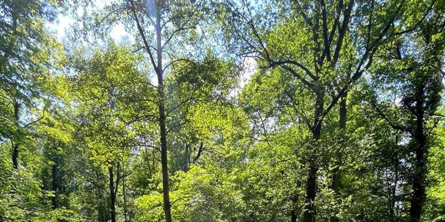 image - Marche ADEPS