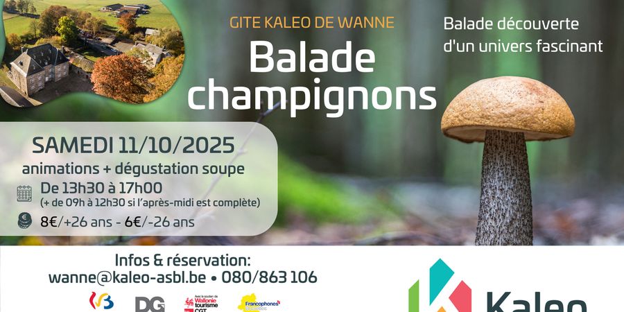 image - Balade Champignons
