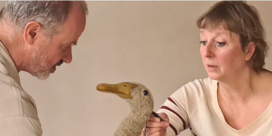 image - Le canard, la mort et la tulipe