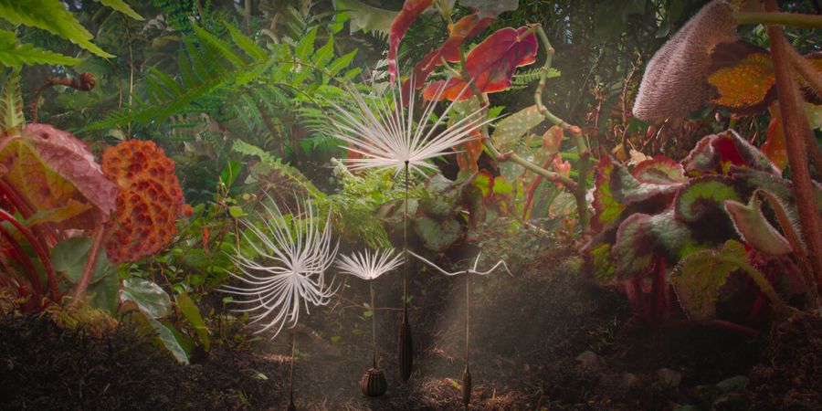 image - Planètes