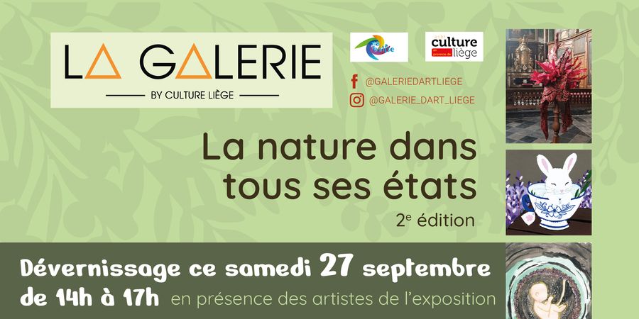 image - Dévernissage de l'exposition « La nature dans tous ses états (2e édition)