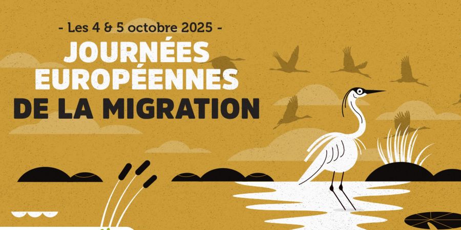 image - Journées européennes de la migration