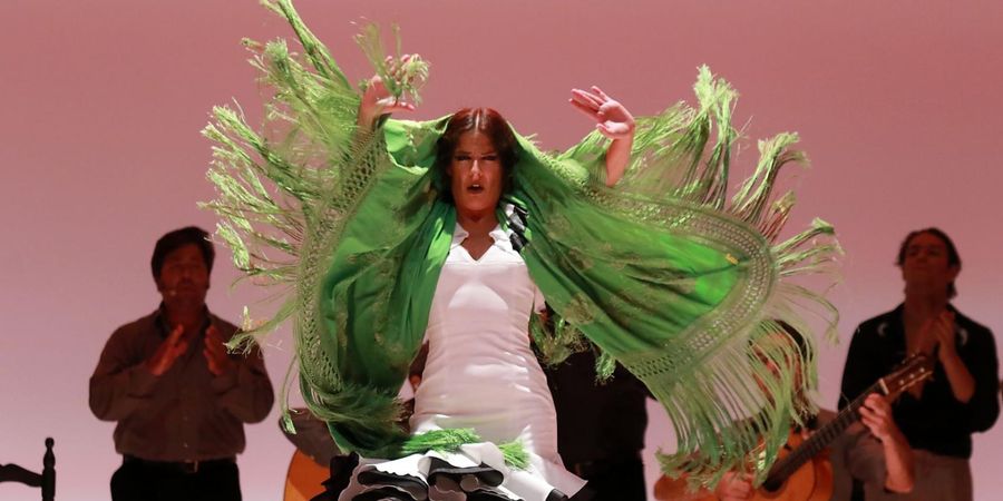 image - Compañía Úrsula López / Ballet Flamenco de Andalucía