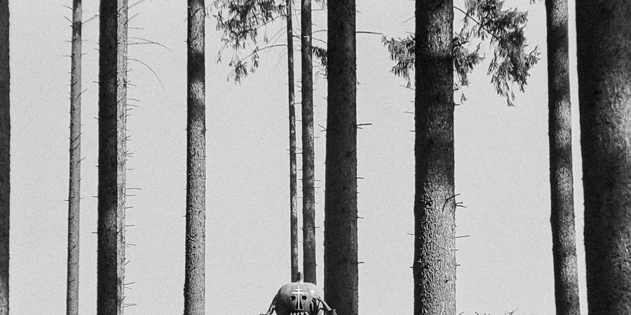 image - The Sun Rises Once a Day