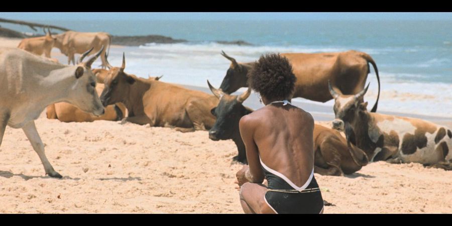 image - Le Rire et le Couteau (O Riso e a Faca)