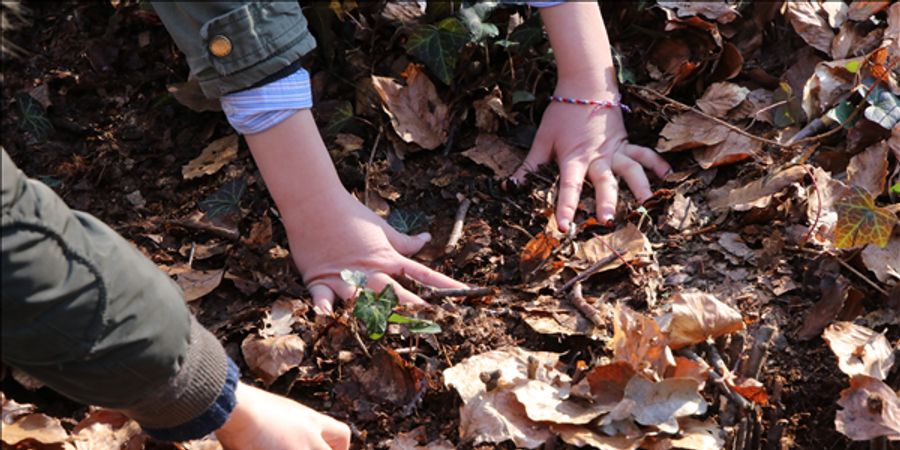 image - Crea en natuur