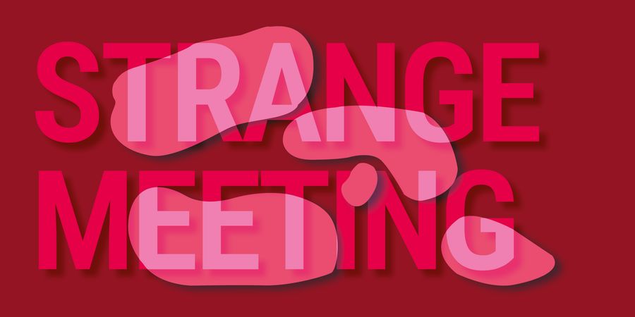 image - Strange Meeting