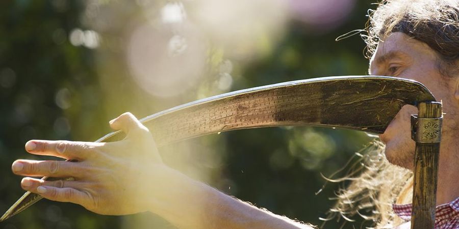 image - Resilience - Tomá Elík