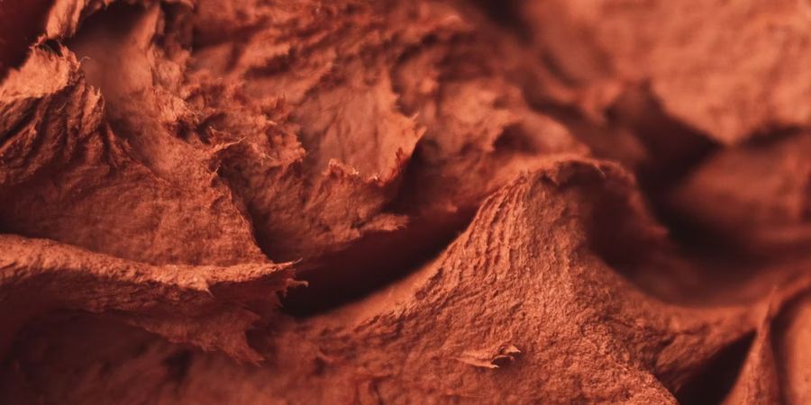 image - Stage de modelage • Sculpture sauvage