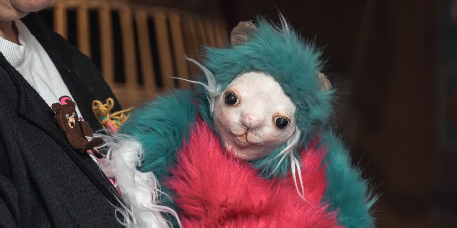 image - Une visite avec Tidou 