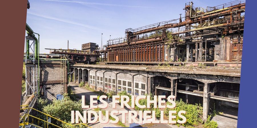 image - Balade guidée 