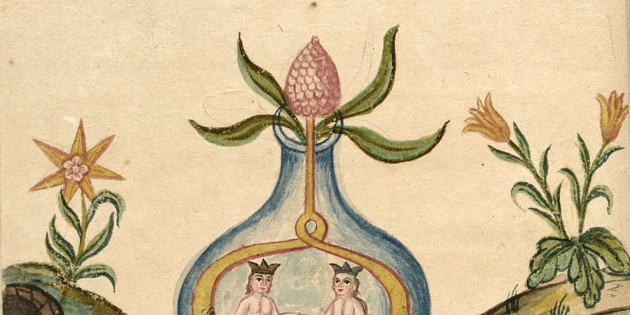 image - Préparation historique monastique: l'eau d'arquebusade