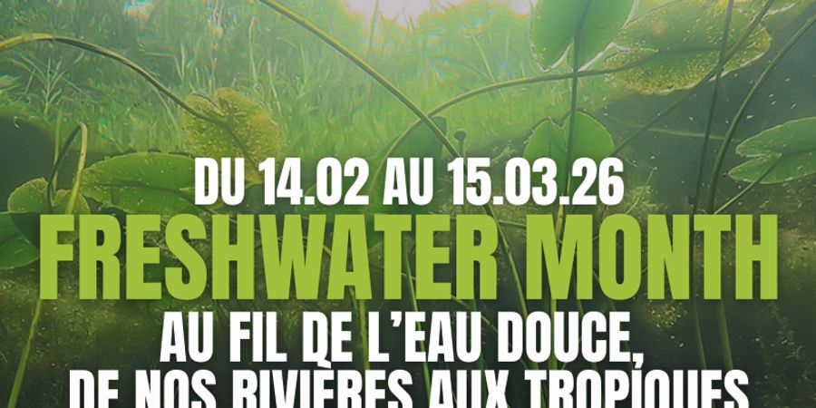 image - Freshwater month : Au fil de l’eau douce, de nos rivières aux tropiques