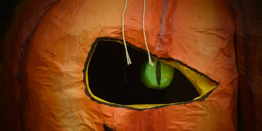 image - Le Fantastique Halloween du Château de Lavaux-Sainte-Anne