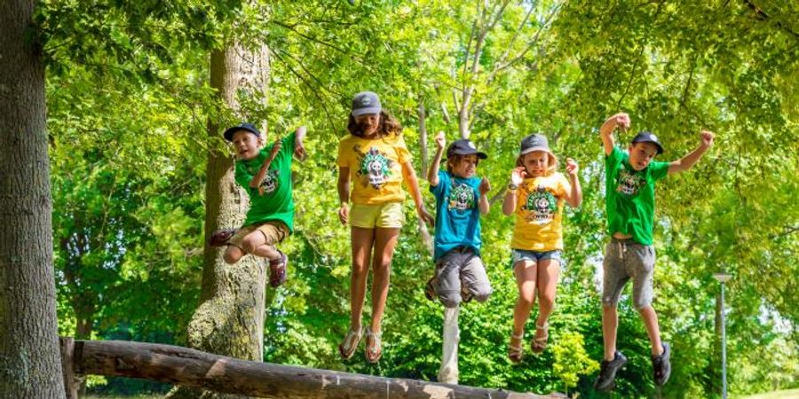 image - Natuurexpeditie (Nieuwpoort) - overnachtingskamp