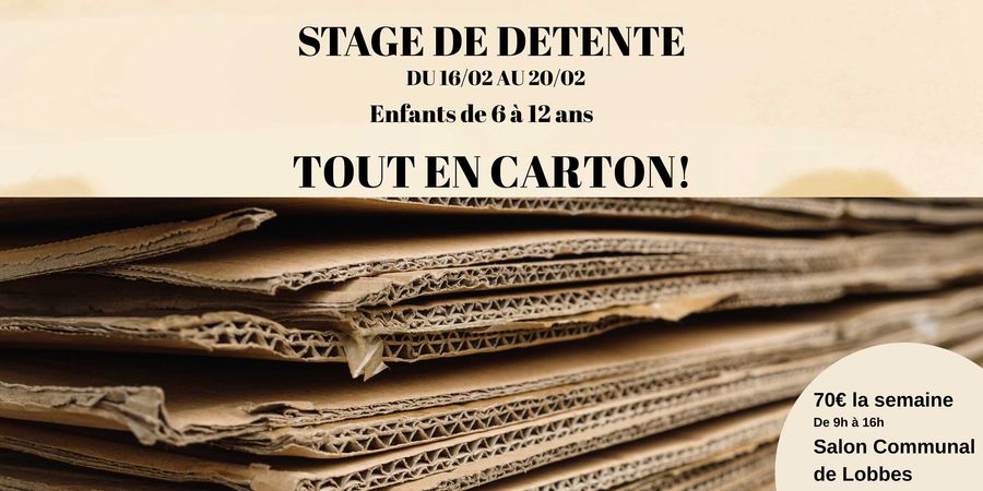 image - Stage de détente « Tout en carton! »