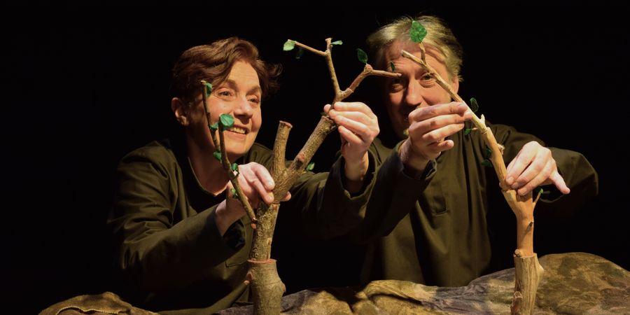 image - Inséparables (+2,5 ans)