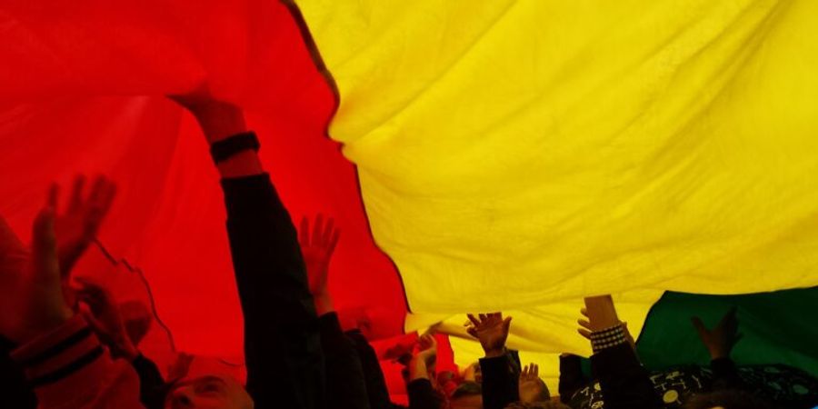 image - LGBT+ in het centrum van Brussel … verleden, heden en toekomst